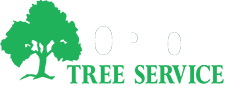 Orion_logo
